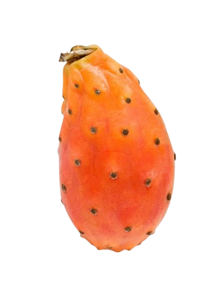 Prickly pear product slider